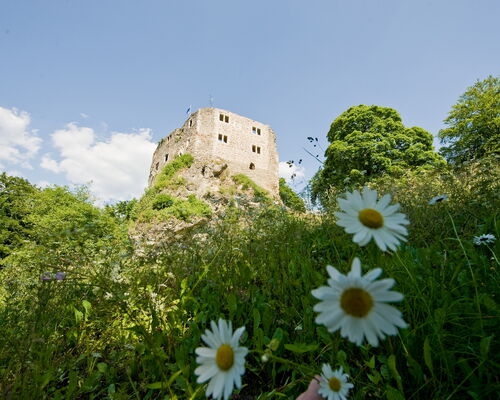 Burgruine Bad Liebenstein davor Margheritenwiese