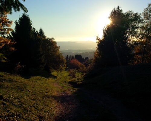 Blick vom sogenannten Bommelhauck in Richtung Tal bei Abendsonne