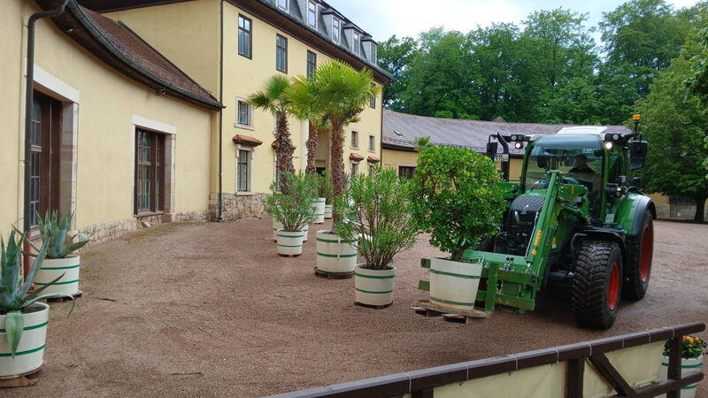 Traktor mit Gabel transportiert einen hölzernen Pflanzkübel