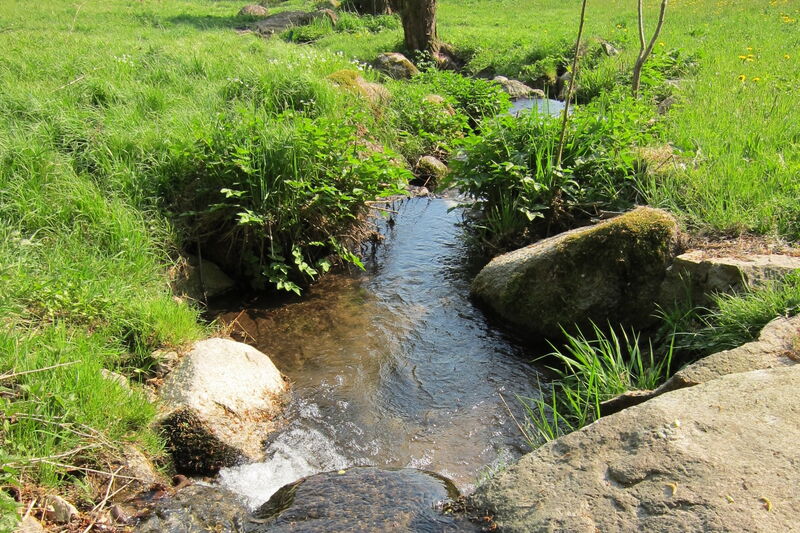 kleiner Bach mit Steinen am Ufer und Bergwiese