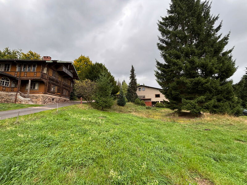 mehrere Gebäude am Waldrand mir Wiesen und Bäumen