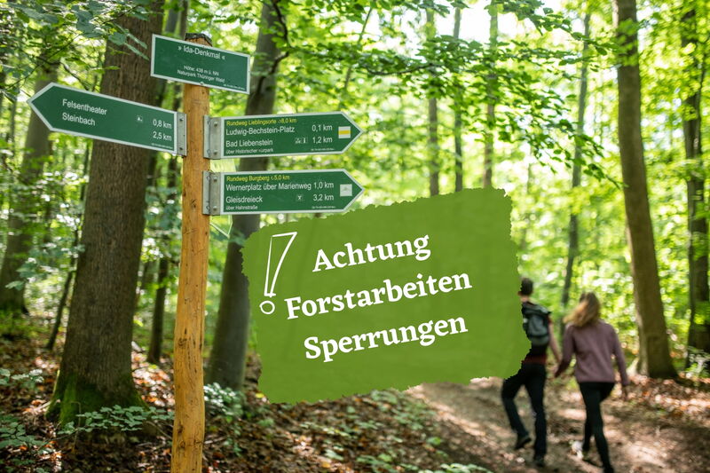 Wegweiser und Wanderer im Wald darübergelagert Text: Achtung Forstarbeiten Sperrungen