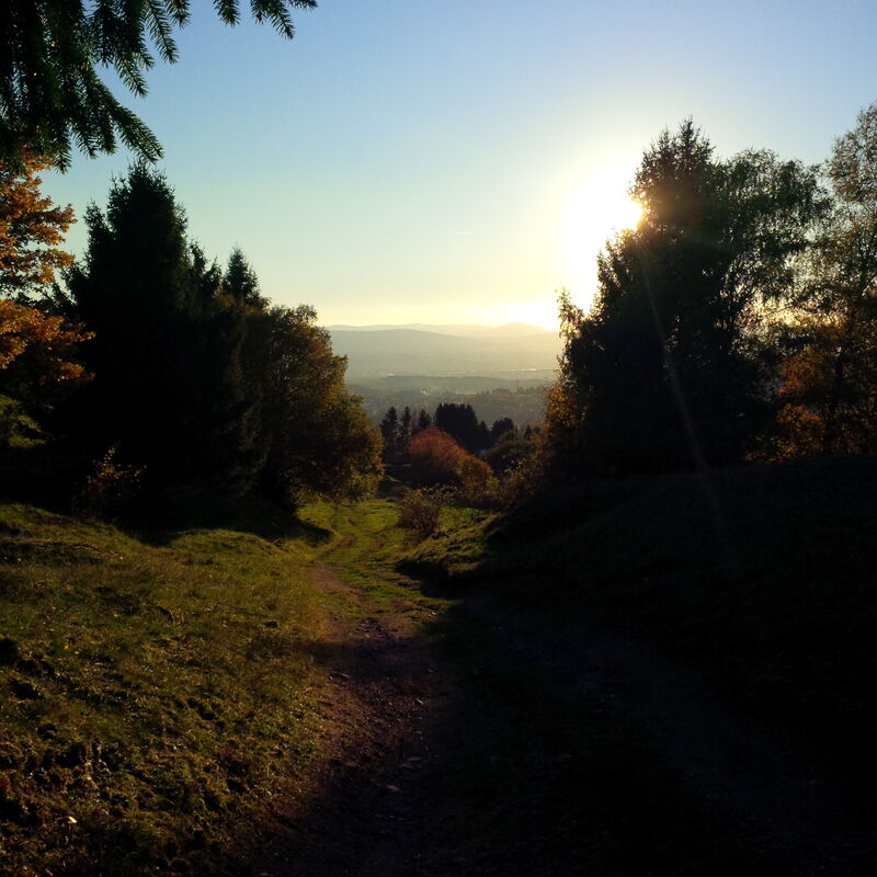 Blick vom sogenannten Bommelhauck in Richtung Tal bei Abendsonne