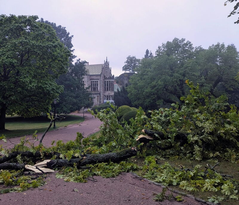 Unwetter Schlosspark Altenstein