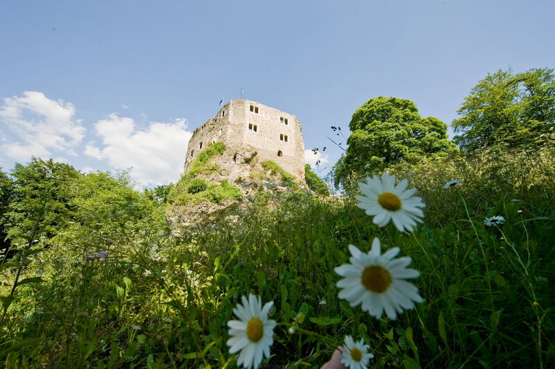 Burgruine Bad Liebenstein davor Margheritenwiese