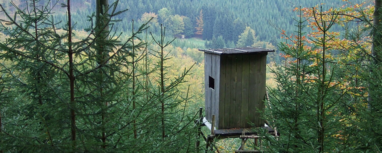 Hochstand am Waldrand, im Hintergrund Berge und Wald