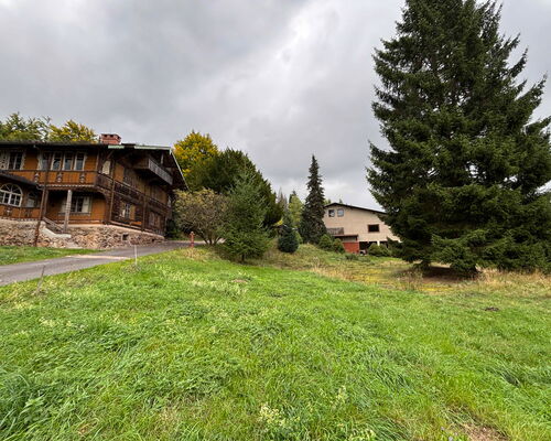 mehrere Gebäude am Waldrand mir Wiesen und Bäumen