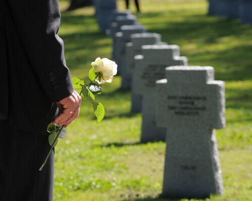 Person in schwarzen Mantel und weißer Rose in der Hand vor Kriegsgräberreihe