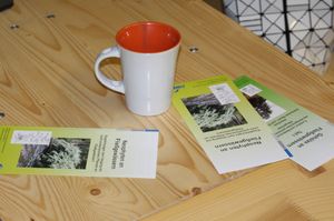 Drei verschiedene Flyer liegen auf einem Holztisch, daneben steht eine Kaffeetasse