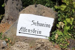 großer Stein in Parklandschaft, darauf: schwarzer historisierender Schriftzug "Schweina" und "Altenstein" mit Richtungspfeil auf weißen Untergrund gemalt